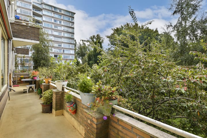 Foto 9 van Meander 777