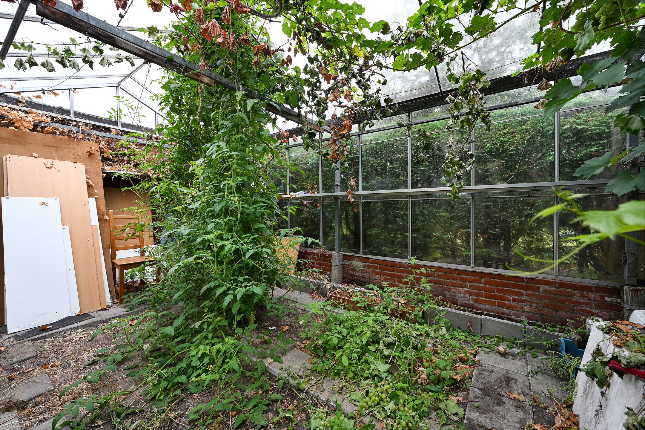 Foto 21 van Koningin Julianaweg 55