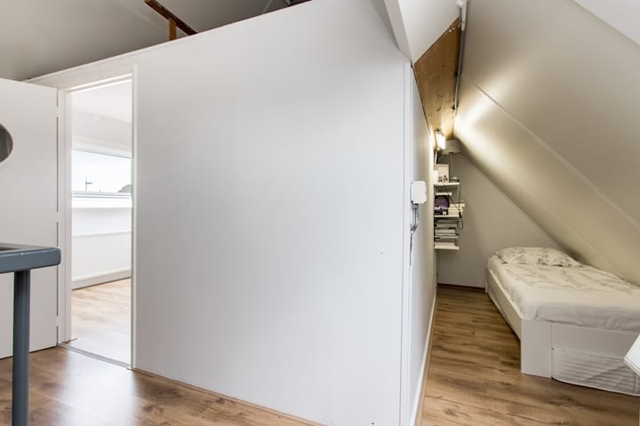 Foto 50 van Biezengors 13