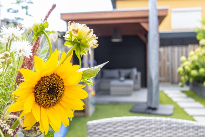 Foto 63 van Biezengors 13