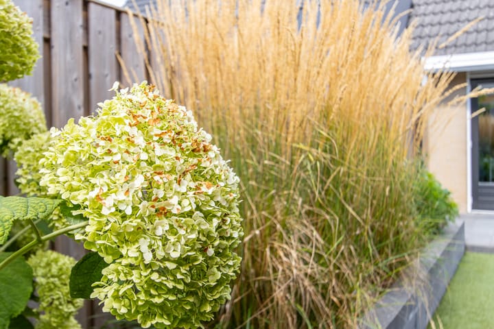 Foto 64 van Biezengors 13