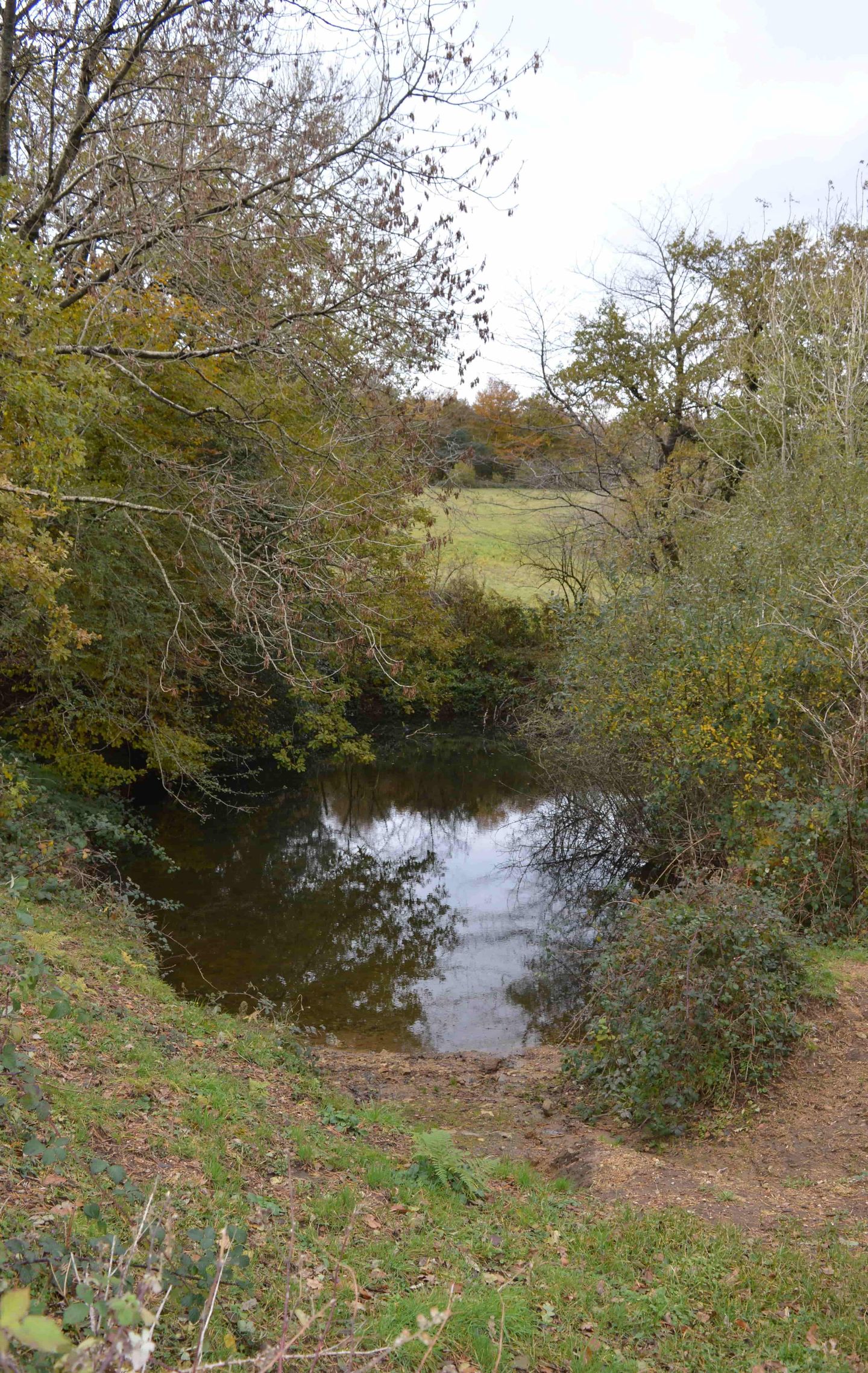 Photo 55 of En Darde