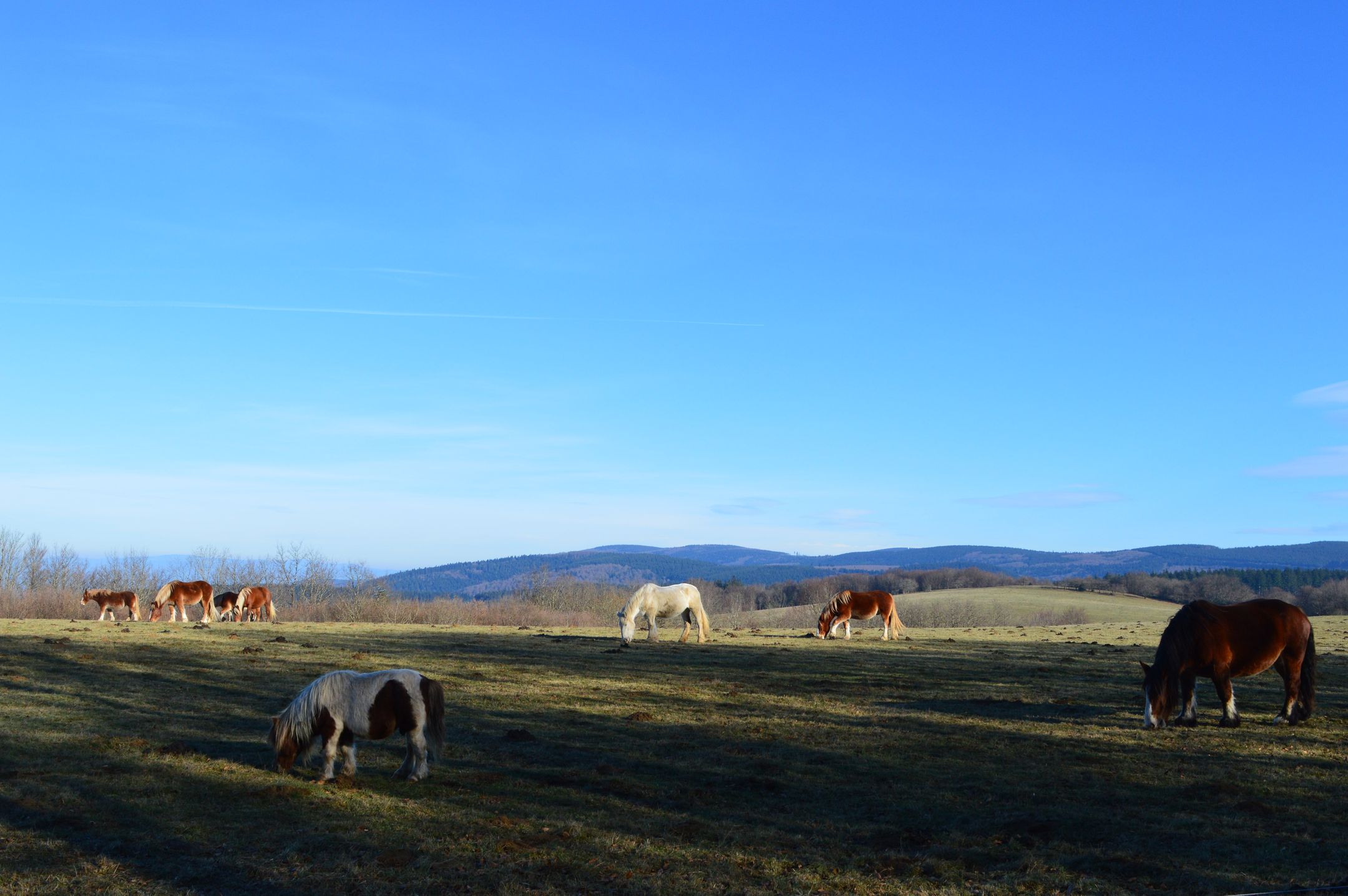 Photo 57 of En Darde