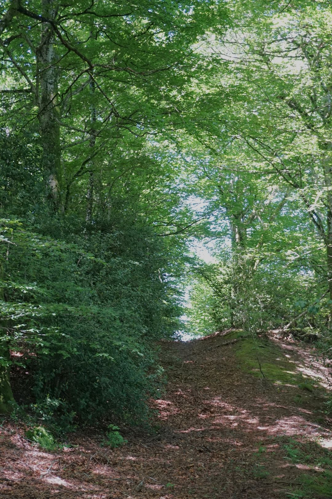 Photo 62 of En Darde