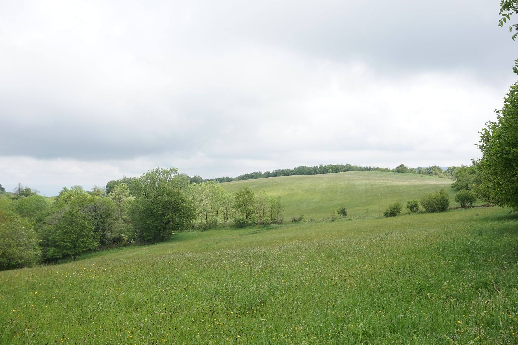 Photo 63 of En Darde