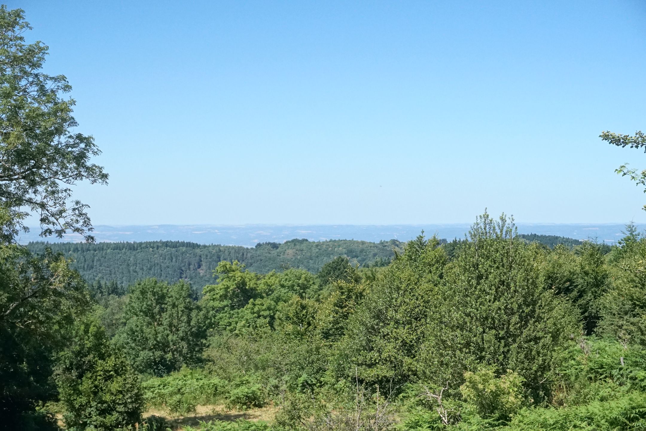 Photo 66 of En Darde