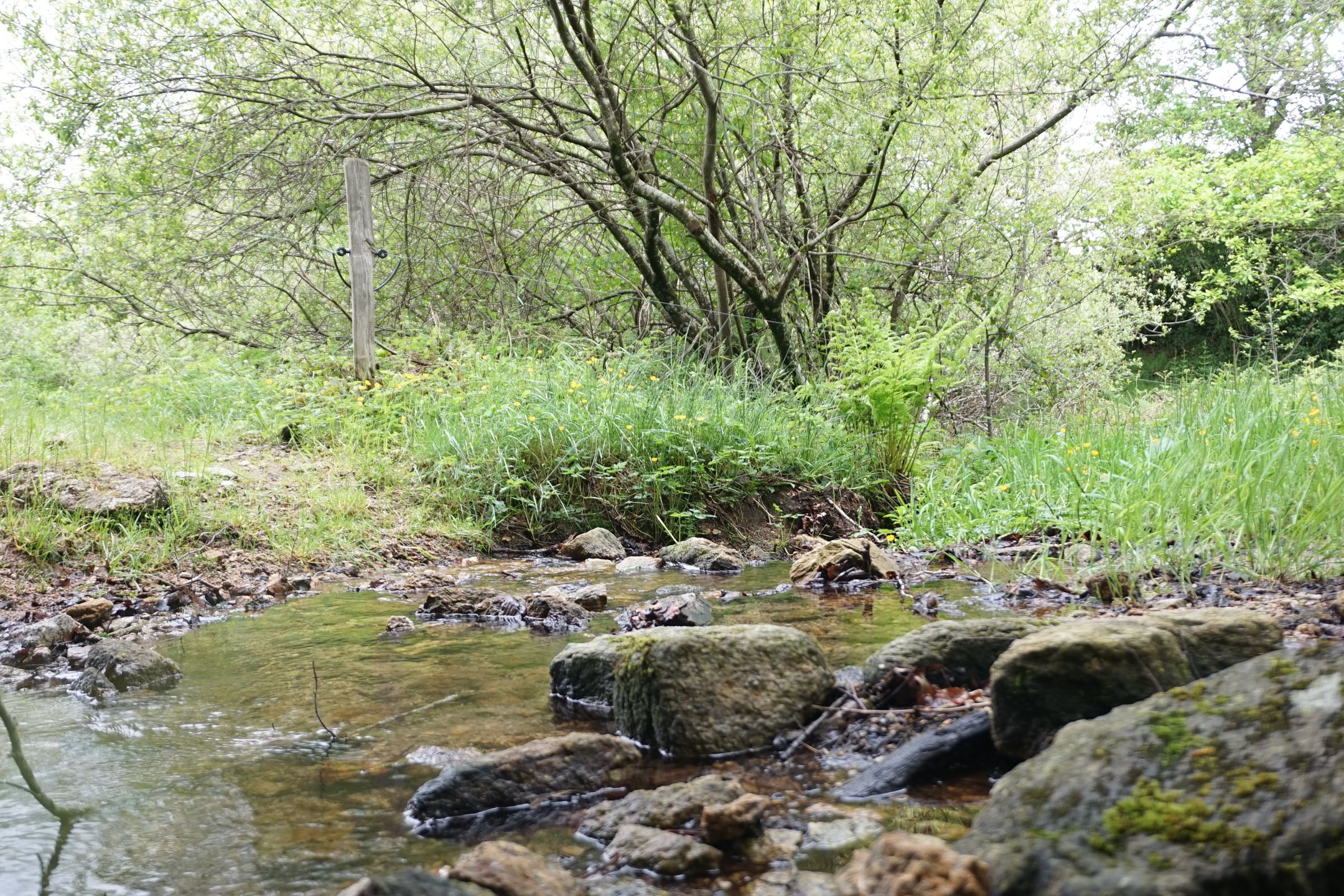 Photo 69 of En Darde