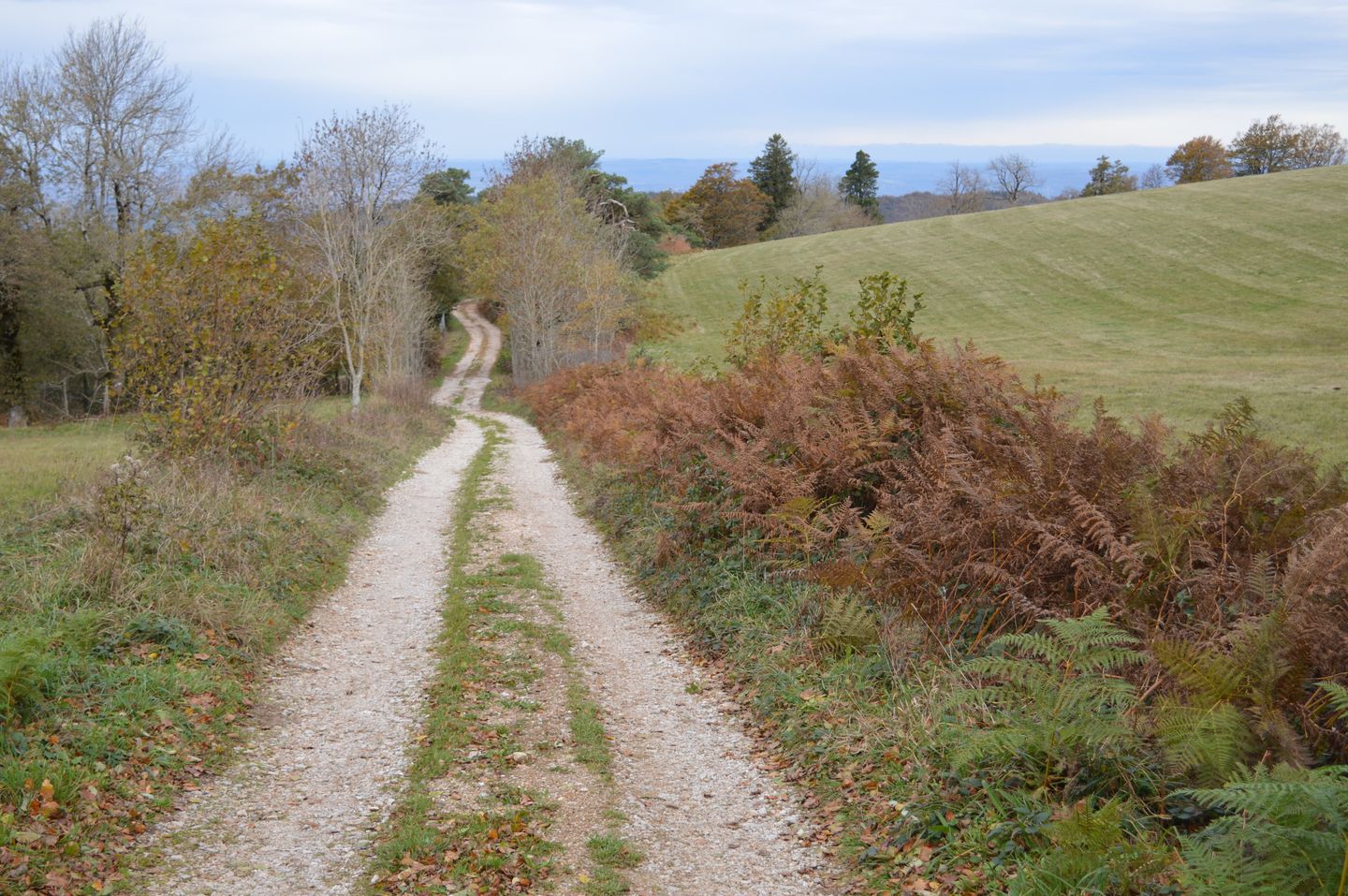 Photo 70 of En Darde