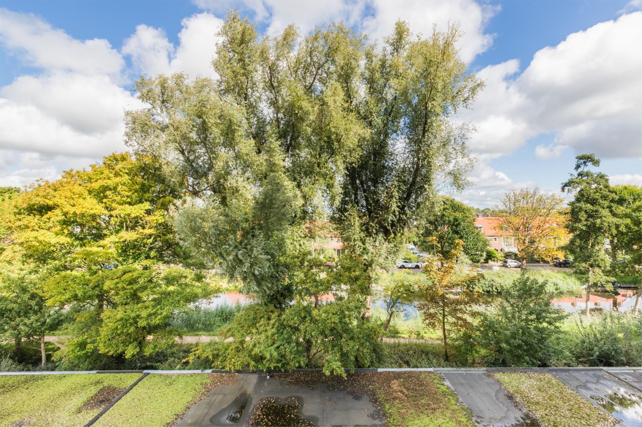 Foto 39 van Jan van Goyenstraat 62