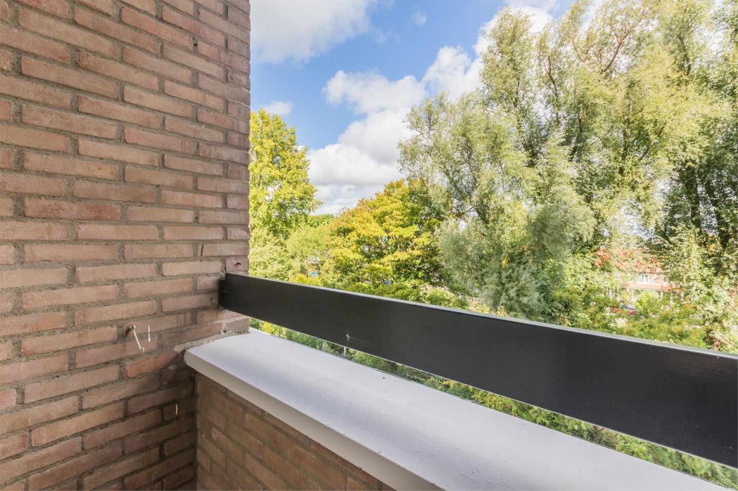 Foto 40 van Jan van Goyenstraat 62