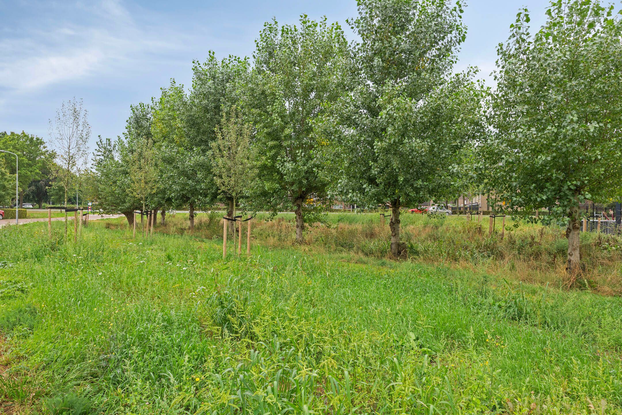 Foto 36 van Robert Josephstraat 2