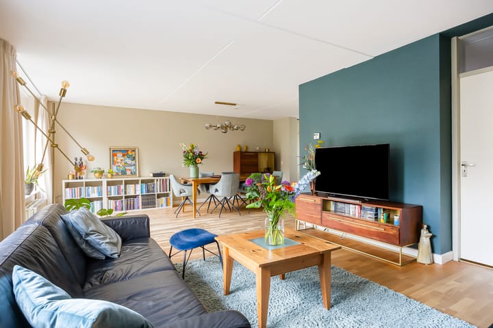 Foto 2 van Tureluur 14