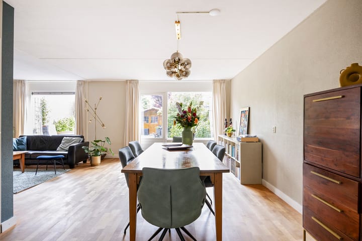 Foto 13 van Tureluur 14