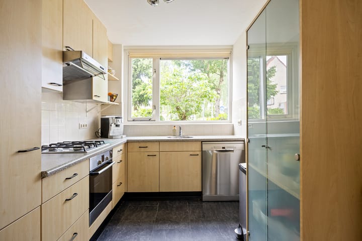 Foto 15 van Tureluur 14