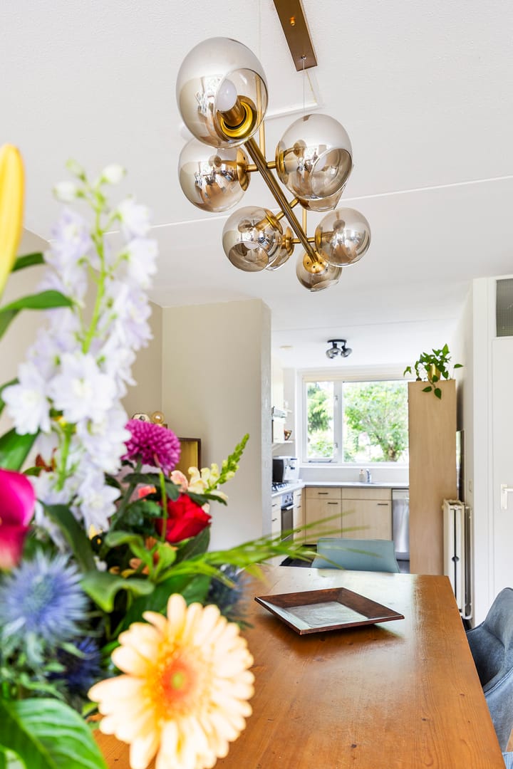 Foto 14 van Tureluur 14