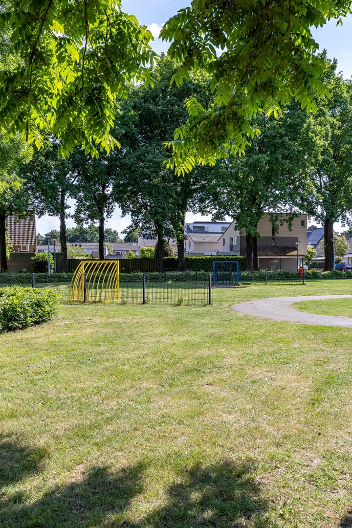 Foto 30 van Tureluur 14