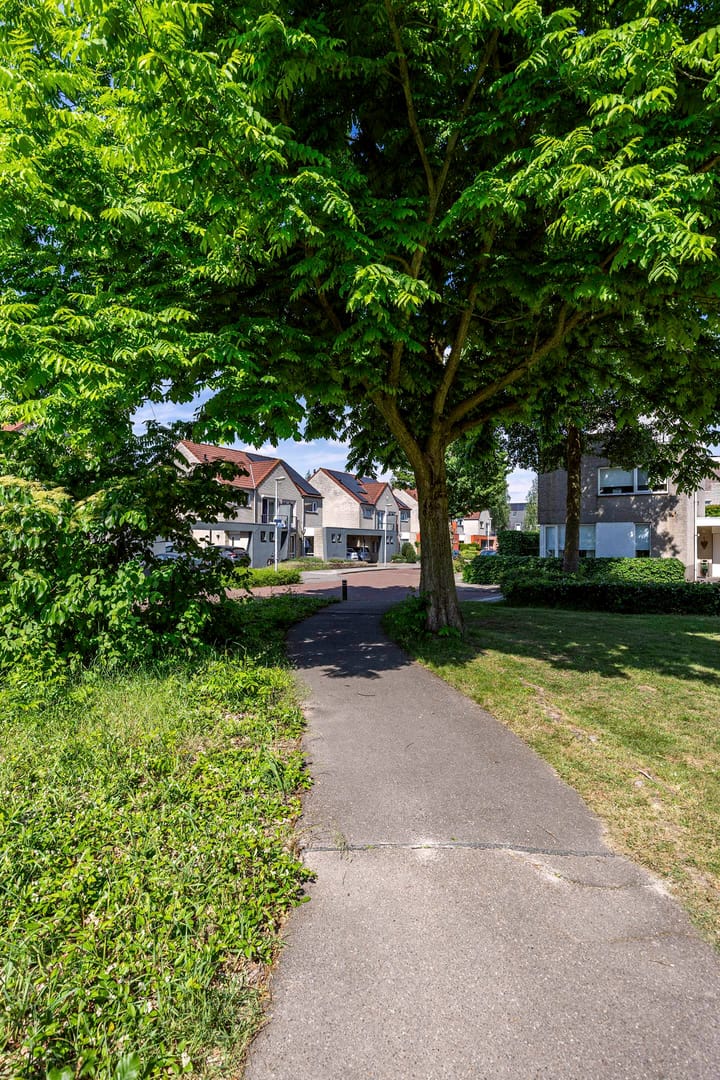 Foto 33 van Tureluur 14