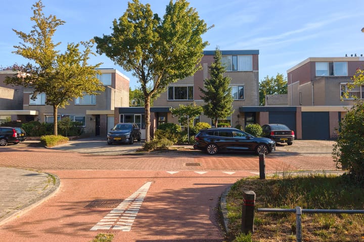 Foto 6 van Tureluur 14