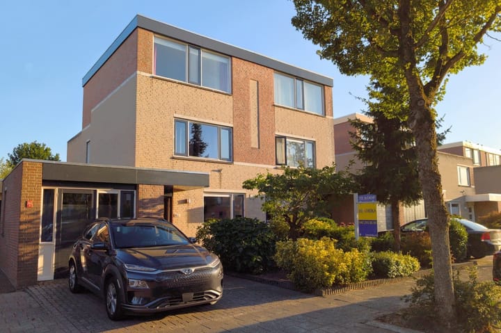 Foto 1 van Tureluur 14