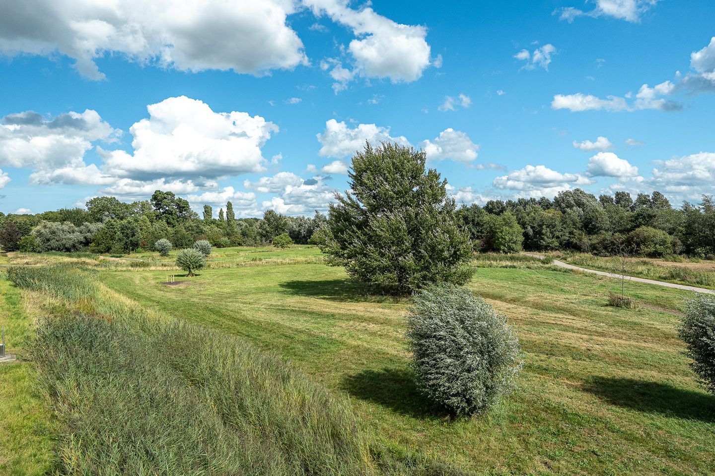 Foto 85 van Eeltsjemar 1