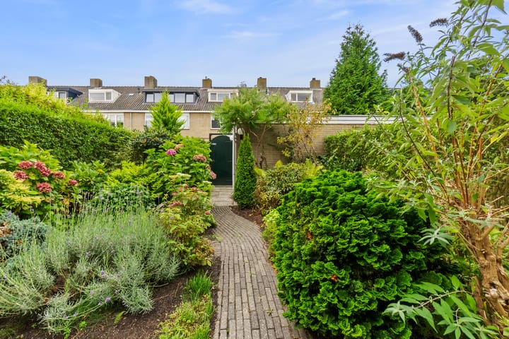 Foto 3 van Scholeksterstraat 17