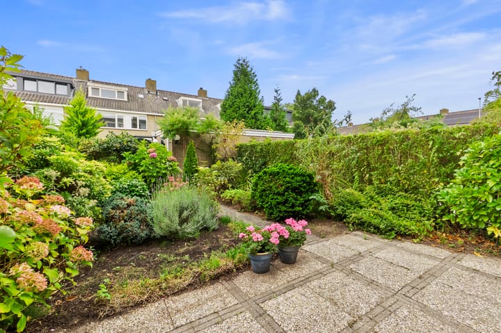 Foto 44 van Scholeksterstraat 17