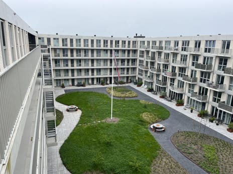 Lapis Lazuli main image