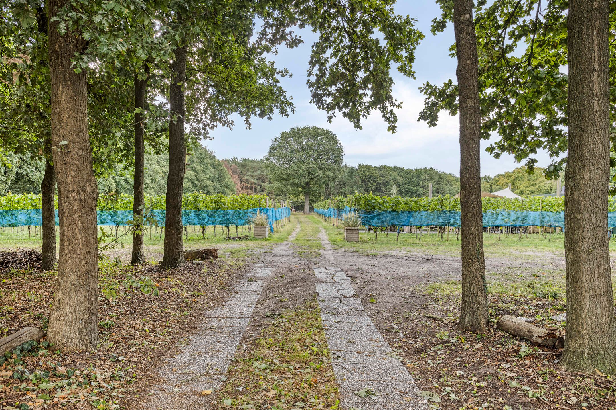 Foto 30 van Nootweg 111