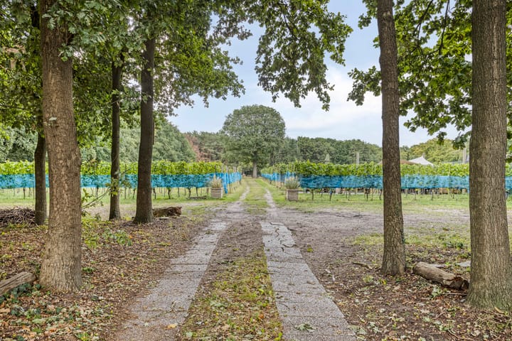 Foto 30 van Nootweg 111