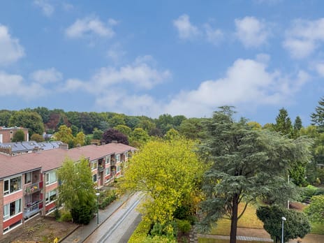 Rozenlaan 39 secondary image