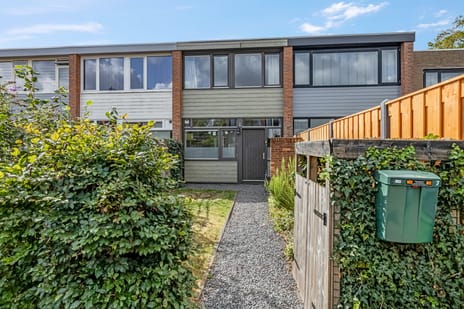 undefined main image