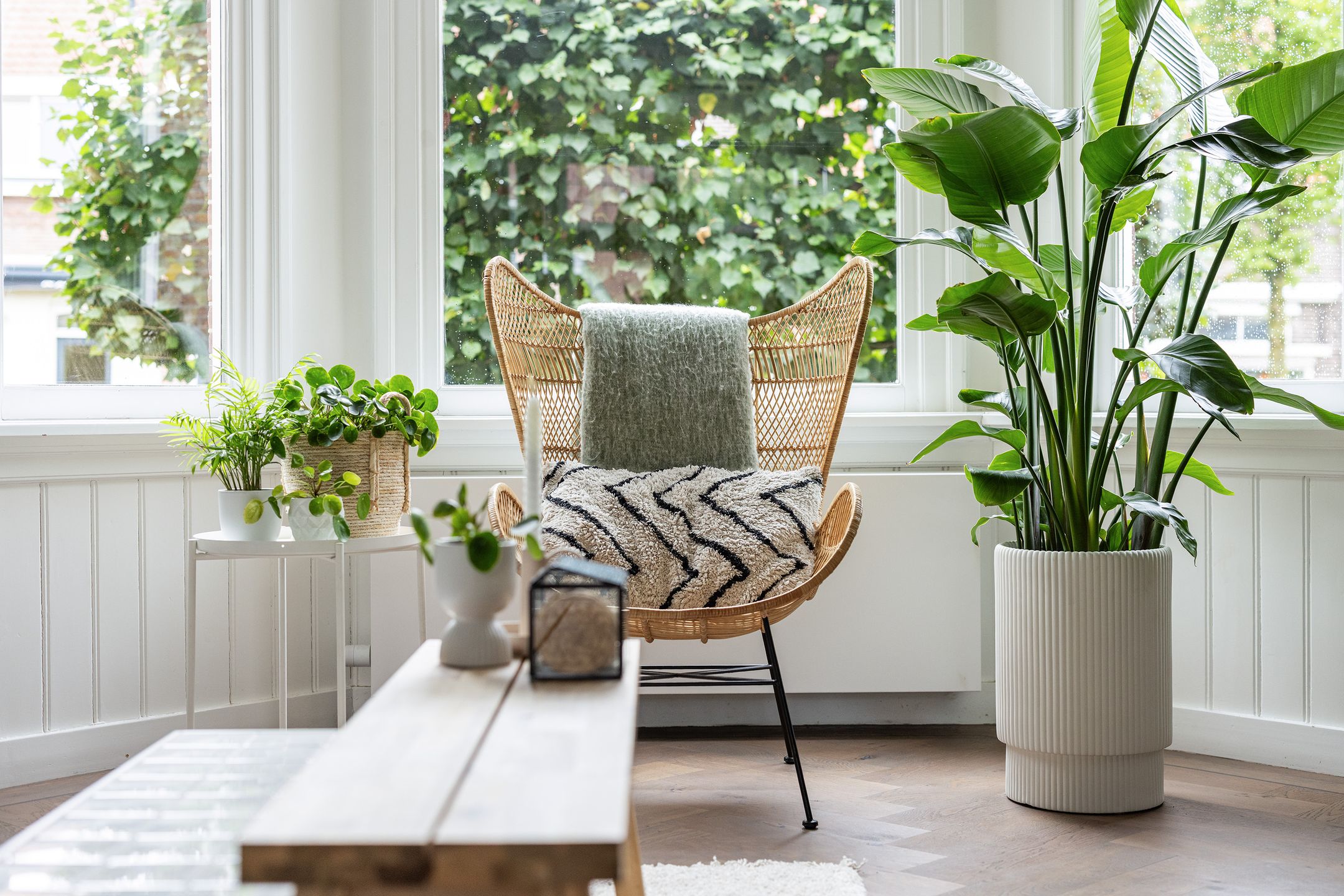 Foto 12 van Burgemeester de Bruïnelaan 35