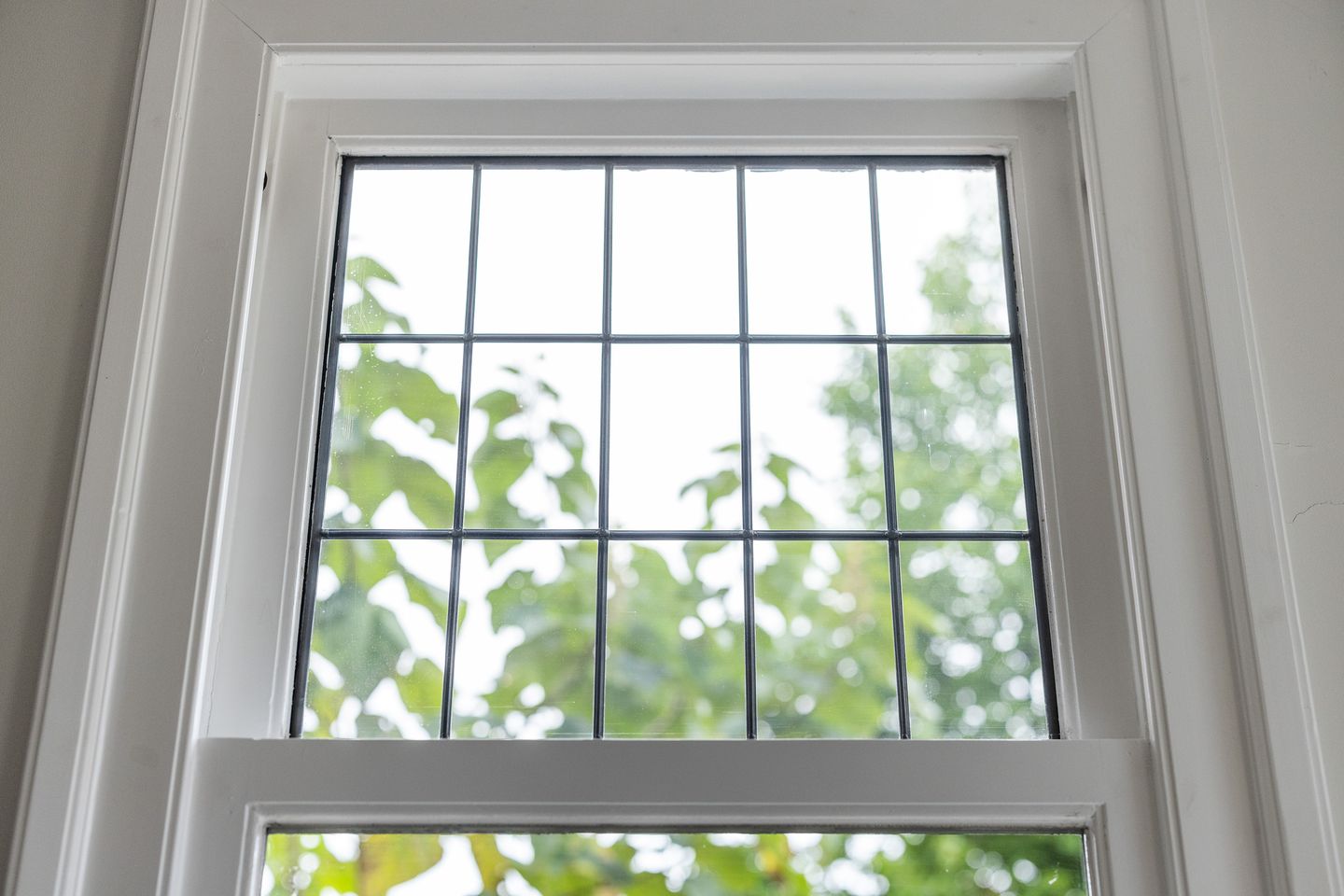 Foto 14 van Burgemeester de Bruïnelaan 35