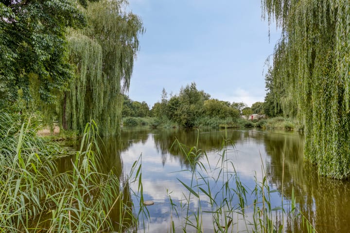 Photo 44 of Kardeel 24