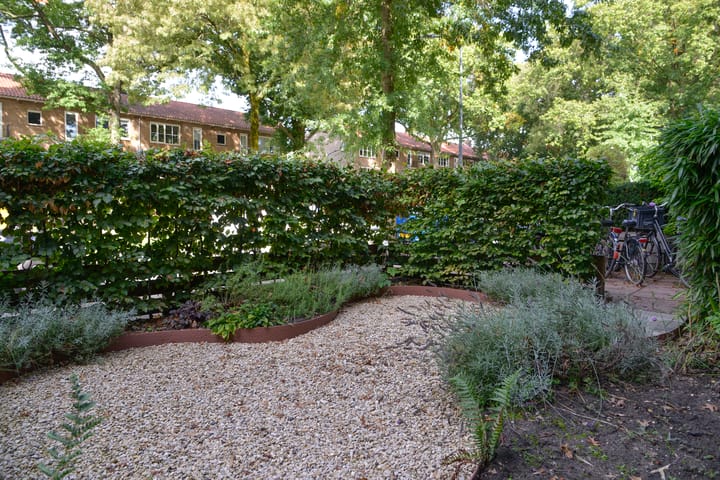 Foto 19 van Bosdrift 251