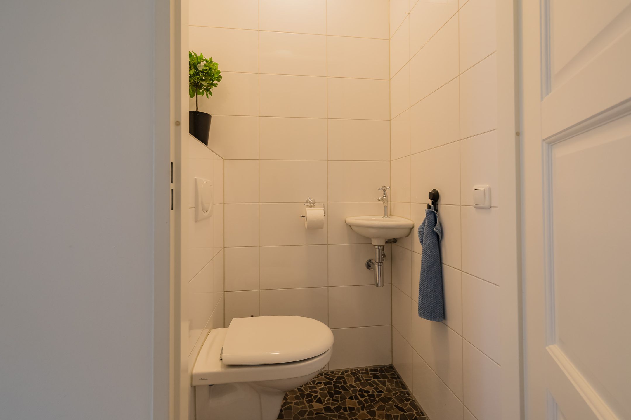 Foto 12 van Olijfboomhof 10