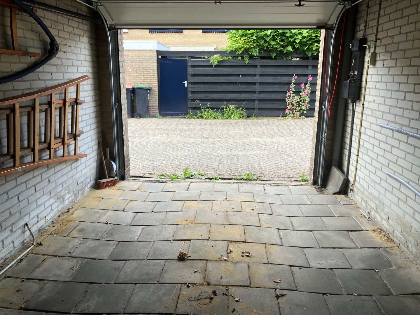 Foto 5 van Vogelven 8-A