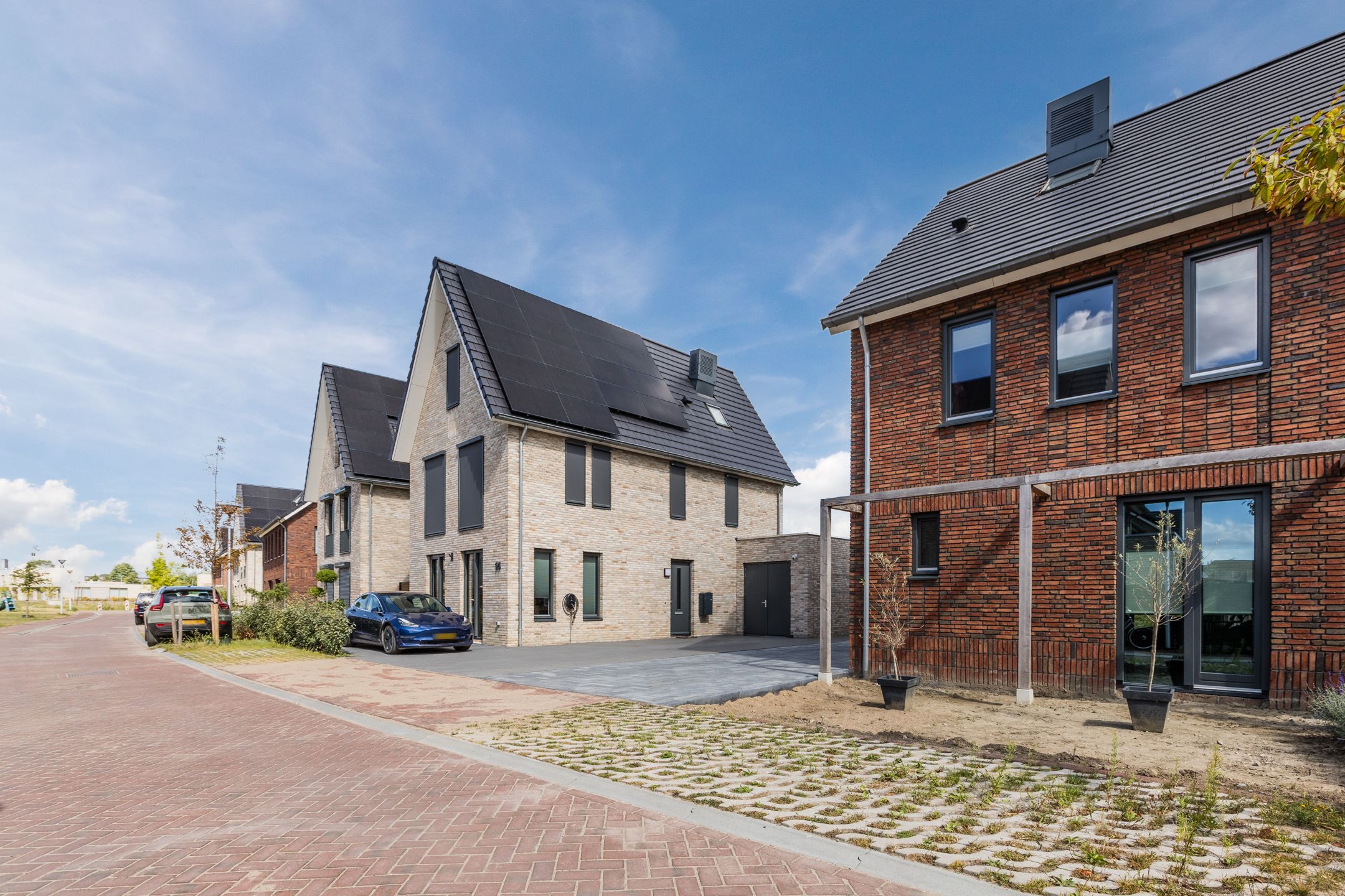 Foto 12 van Sterrenkroos 12