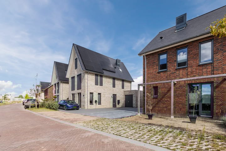 Photo 12 of Sterrenkroos 12