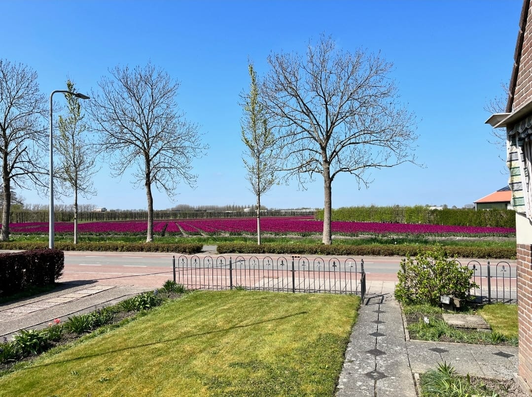 Foto 4 van Oosteinderweg 48