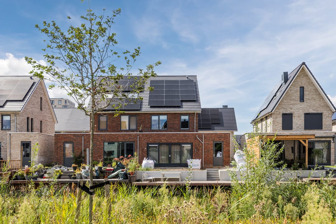 Foto 73 van Sterrenkroos 12