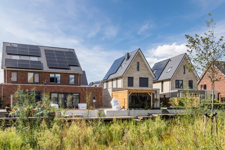 Photo 74 of Sterrenkroos 12