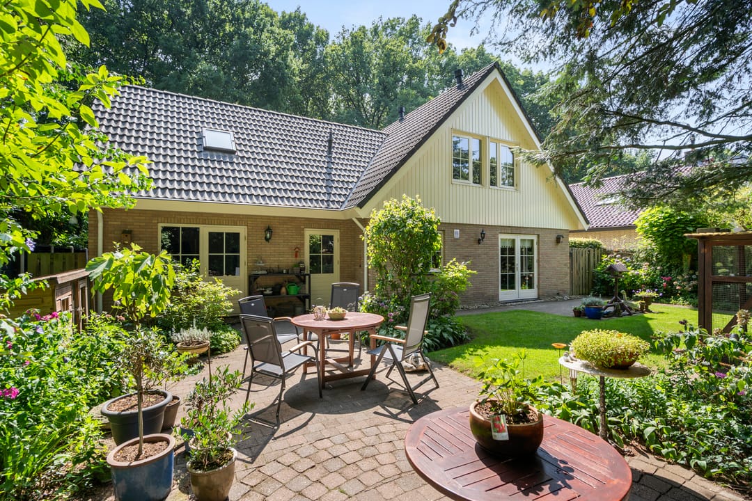 Foto 2 van Bosmeesterskamp 3-A