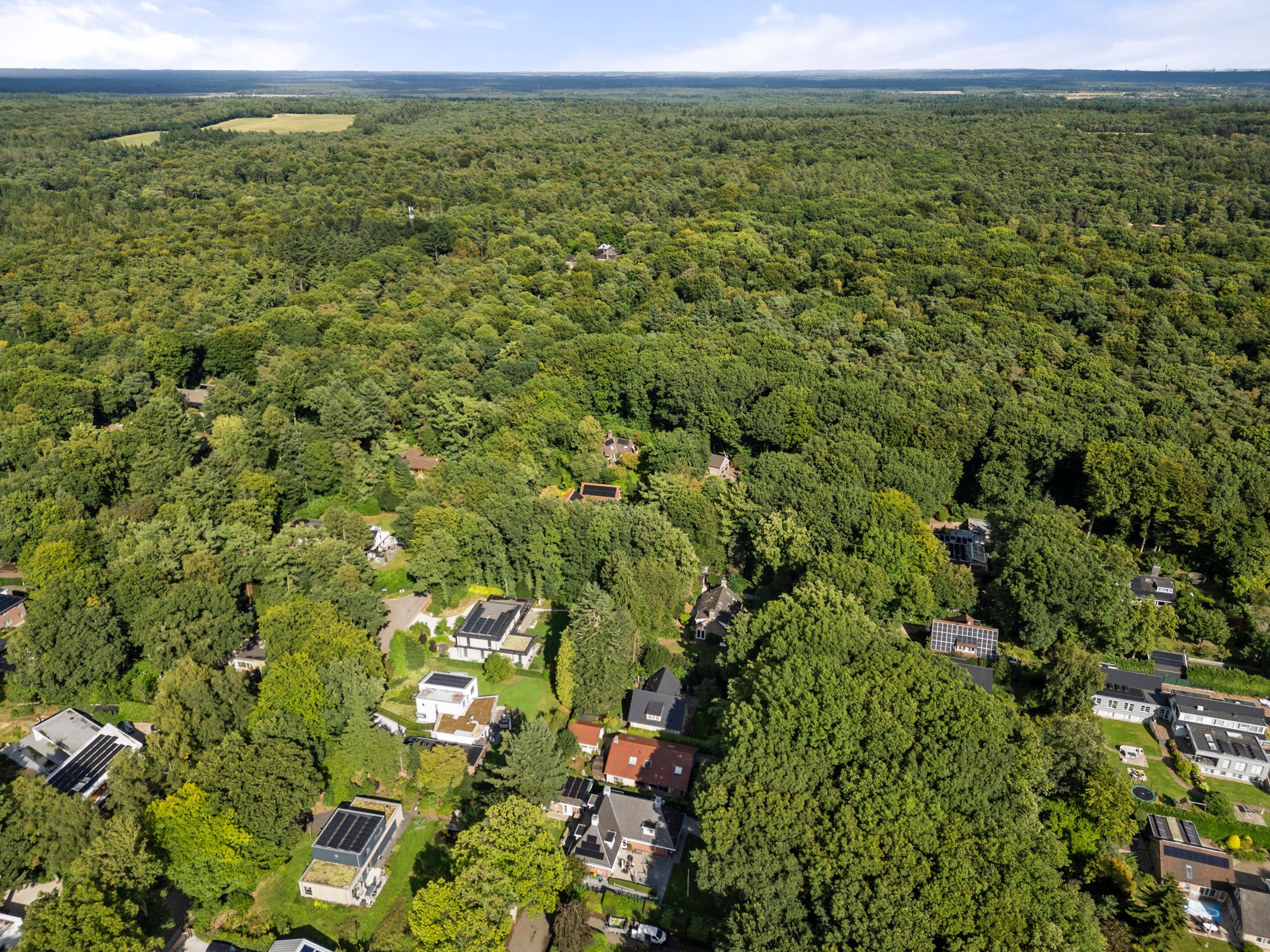 Foto 3 van Bosmeesterskamp 3-A