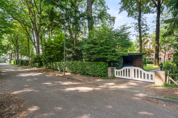 Foto 4 van Bosmeesterskamp 3-A