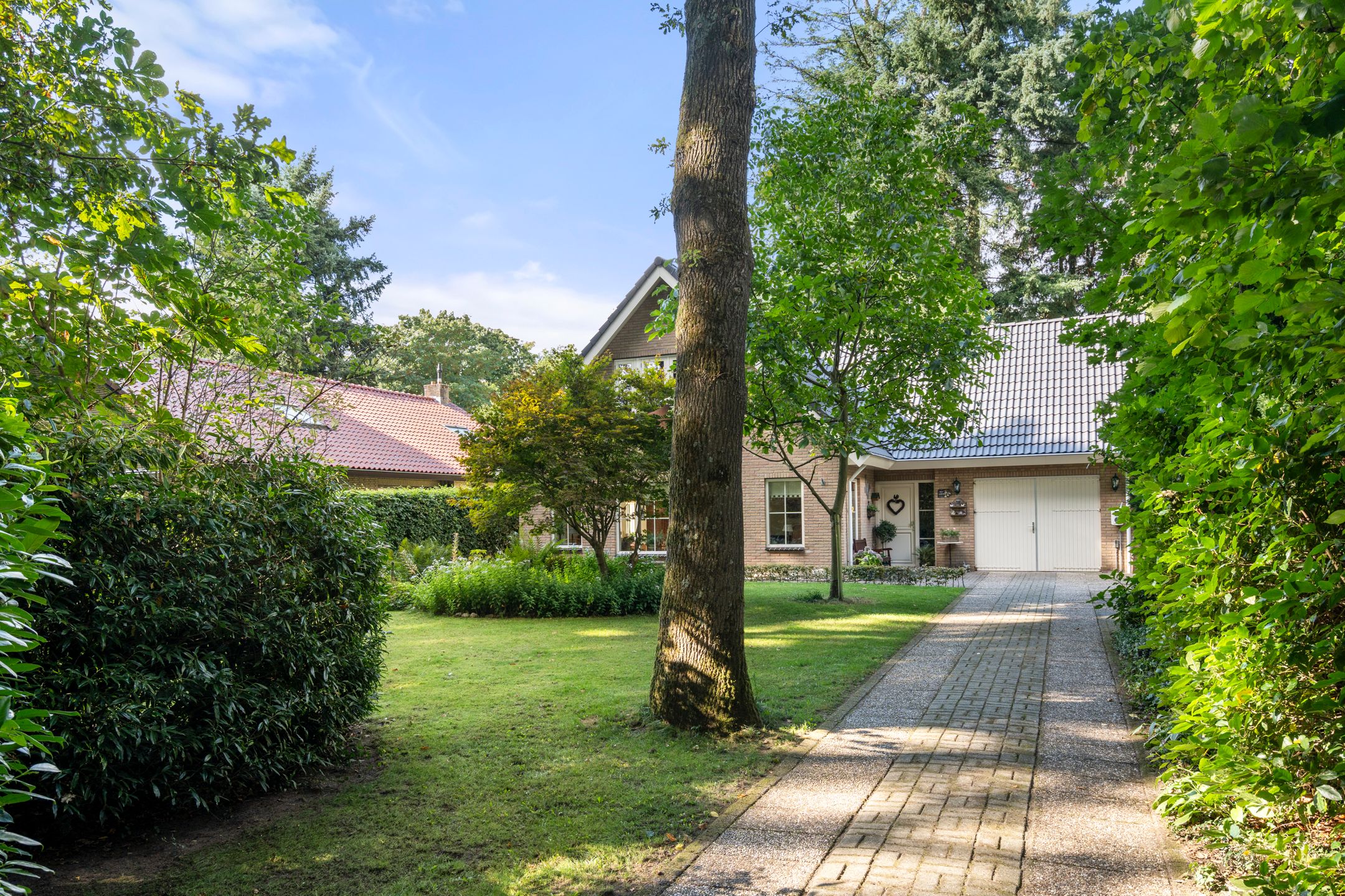 Foto 9 van Bosmeesterskamp 3-A