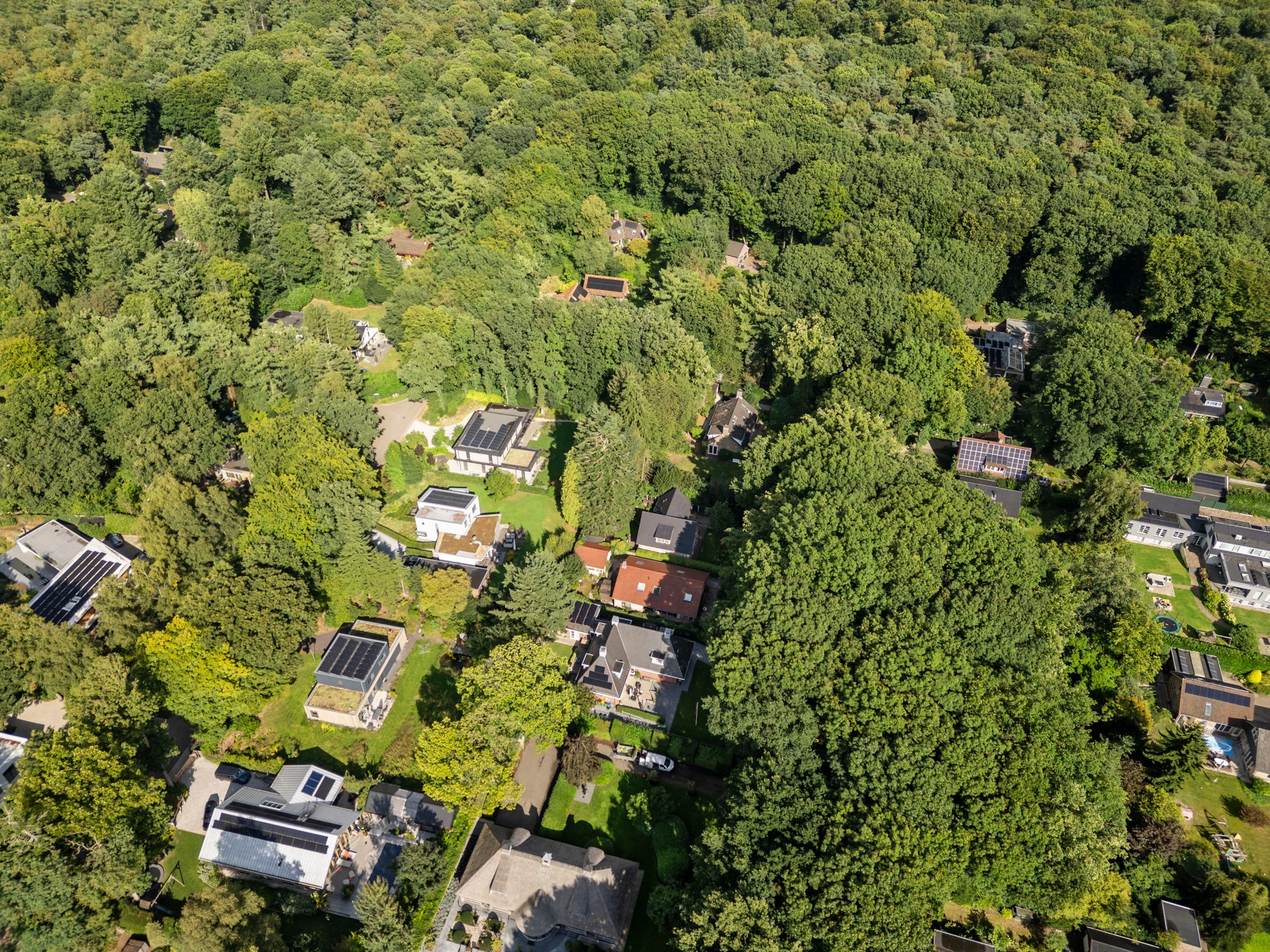 Foto 18 van Bosmeesterskamp 3-A