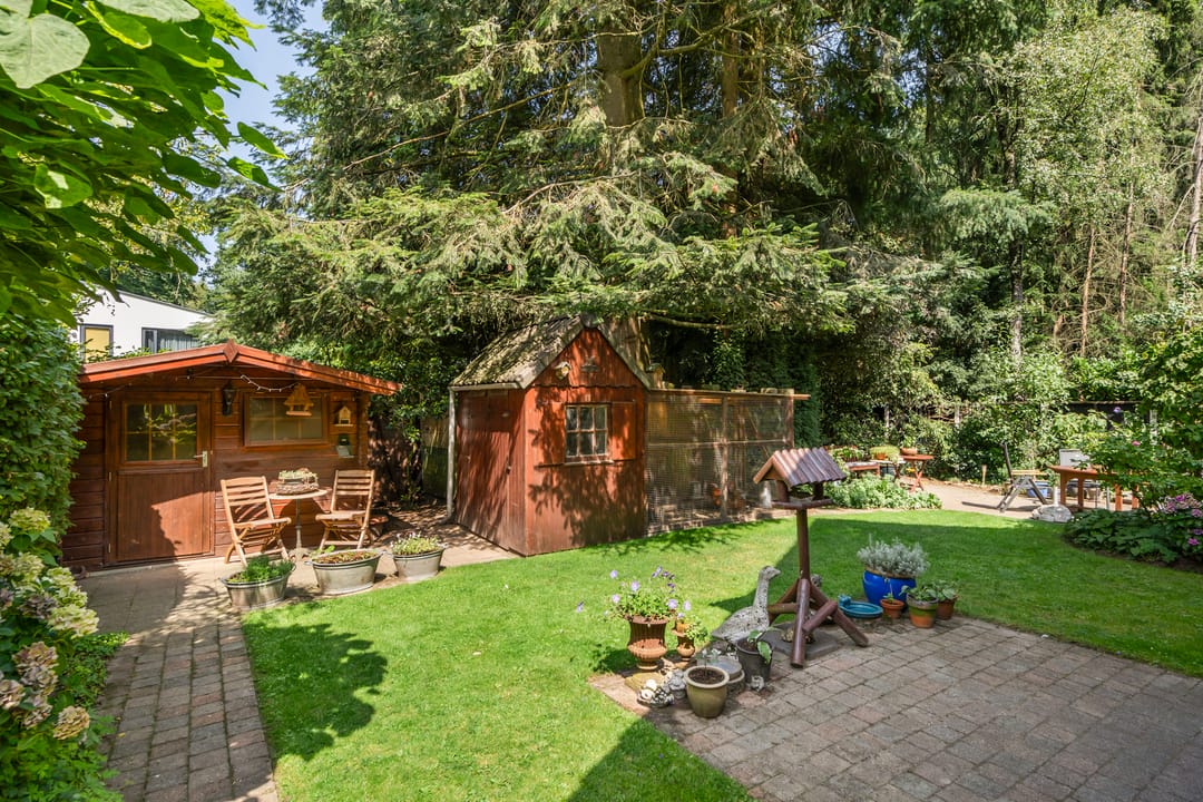 Foto 23 van Bosmeesterskamp 3-A