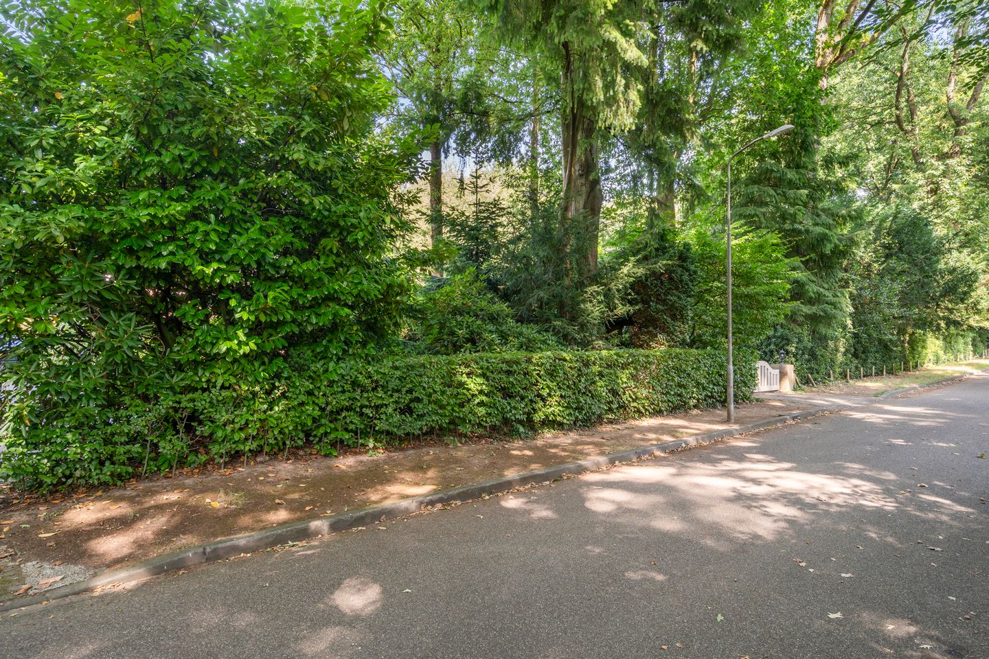 Foto 25 van Bosmeesterskamp 3-A