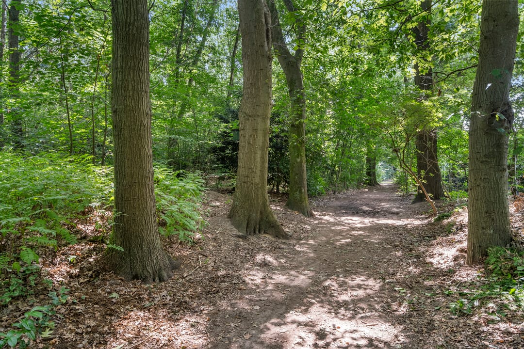 Foto 26 van Bosmeesterskamp 3-A